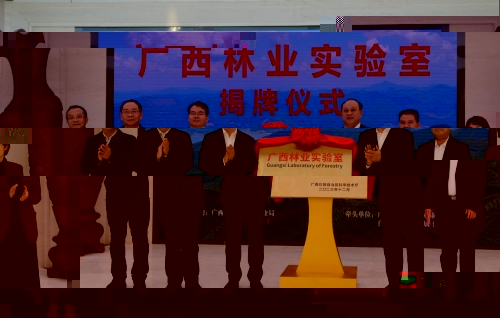 https://rmt.gxu.edu.cn/storage/DEA7BF165E612DAAF3D1EADB739A6F90/small