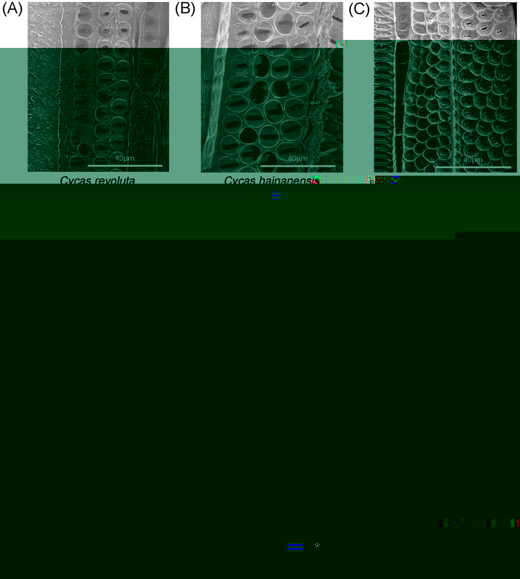 all+perforation plates